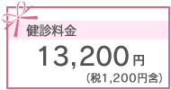 13,200円（税1,200円含）