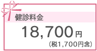 18,700円(税1,700円含）