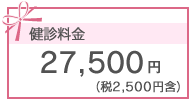 27,500円（税2,500円含）