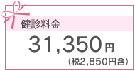 31,350円(税2,850円含）