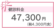 47300円(税4,300円含）