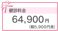 64,900円(税5,900円含）