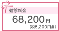 68,200円(税6,200円含）